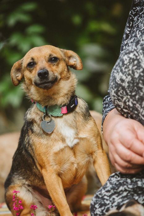 Cudna mała Stasia do adopcji