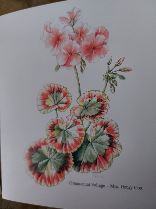 Lote de 3000 Postais Wells & Winter