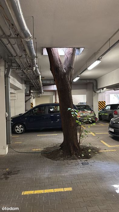 BEZPOŚREDNIO, ciche w ścisłym centrum , z miejscem postojowym w garażu