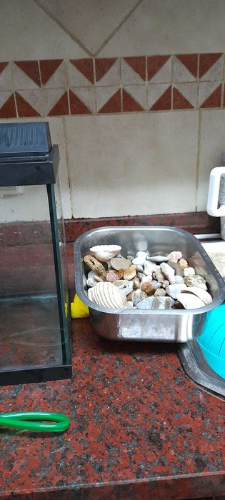 Aquário c/ acessórios e luz