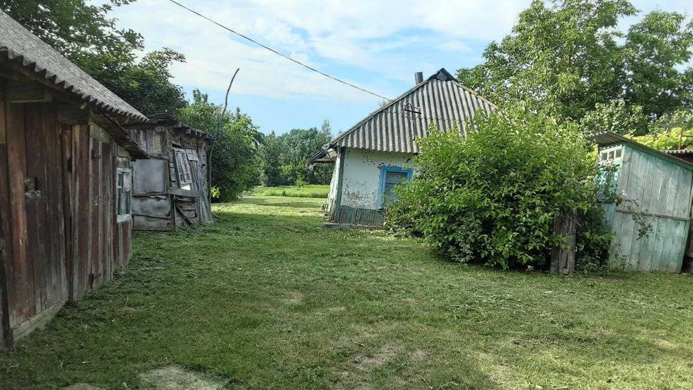 Хата в мальовничому селі