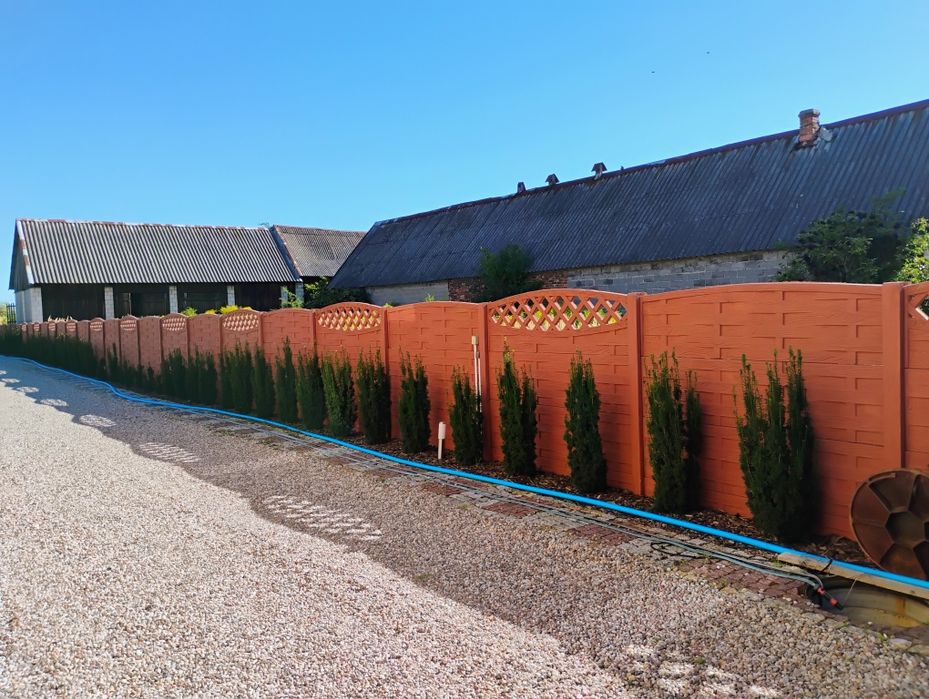 Nawiąże  współprace  z inwestorem i firmą budowlaną