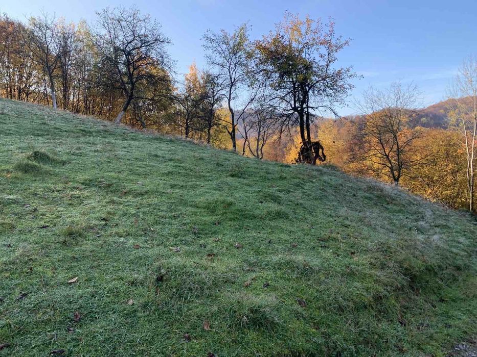 Продається земельна ділянка у мальовничому місці у лісі