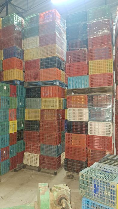 Caixas plástico fruta