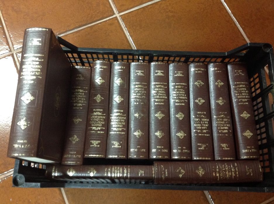 Dicionário da língua portuguesa Ediclube