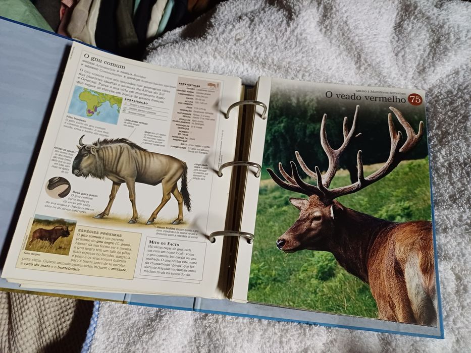 Enciclopédia  Mundo Animal