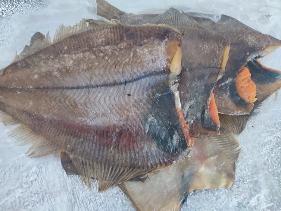 Камбала  ікряна різних видів