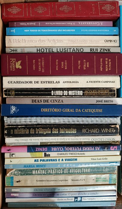 Lote  de  Diversos  LIVROS  Usados ( 2 ) Velharias