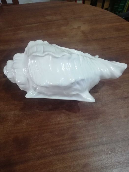 Conch-shaped Jug425285995988275201