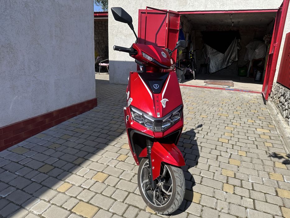 TLG Leopard (Red)