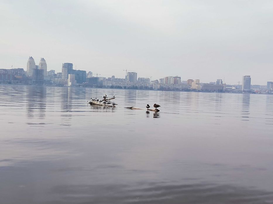 2-к квартира Лівий берег! ТЦ Вавілон/Караван/Інтерпайп/Центр/Вокзал
