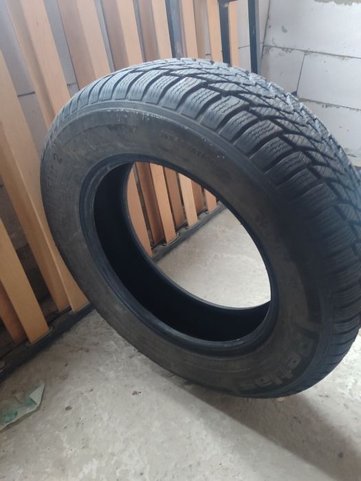 Шини Petlas snow master2