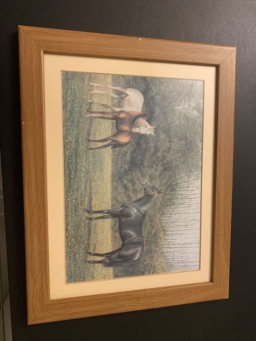 Quadro com imagem de cavalos