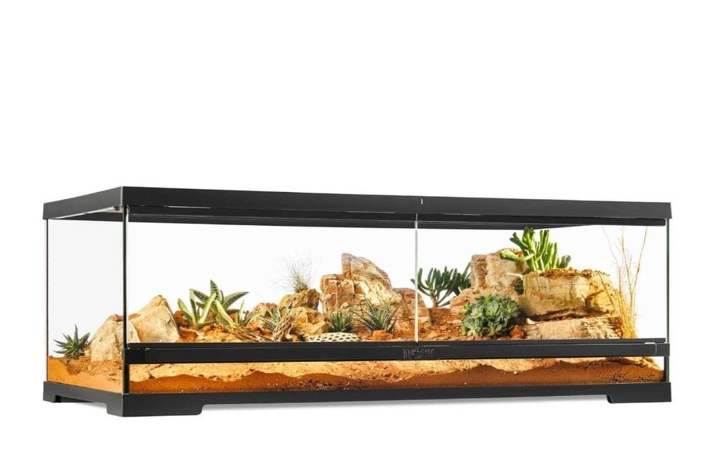 Terrário Exoterra 20x20x30 cm Oferta Bicho Pau