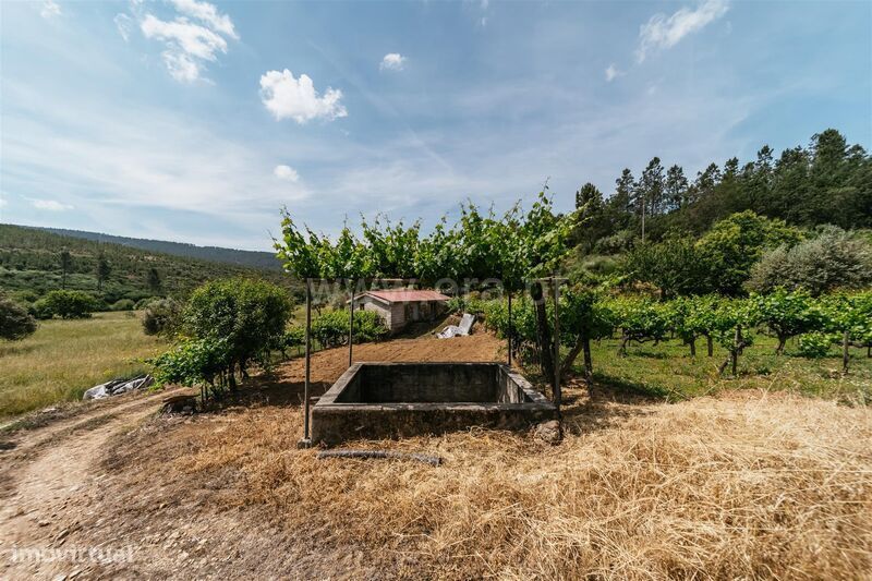 Quinta Estúdio / Covilhã, Serra da Estrela