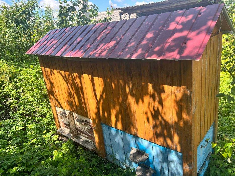 Апідомік\Апілежак сон на вулику