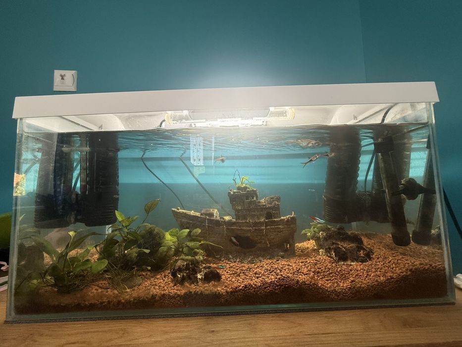 Awarium aquel 60l z akcesoriami i rybami