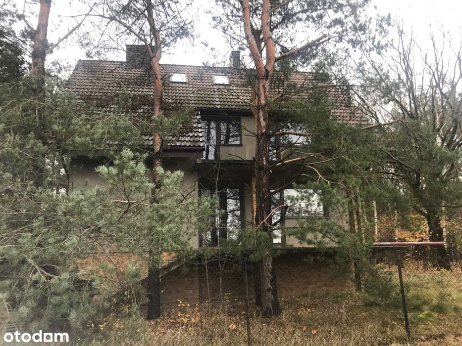 Dom pod lasem z wysokiej jakości materiałów