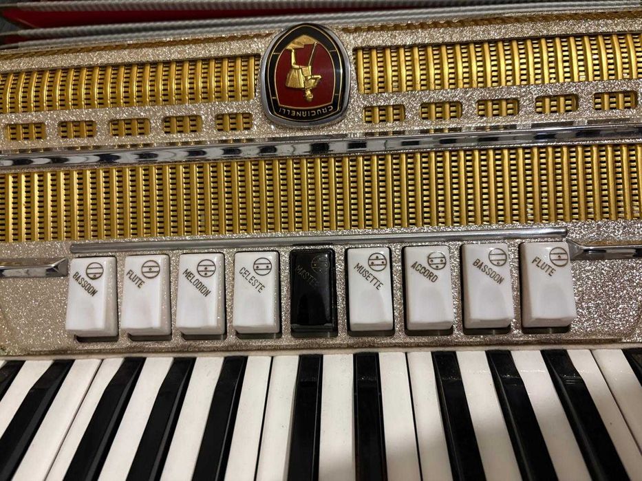 Acordeão 120 baixos IMPECÁVEL - VALOR NEGOCIÁVEL