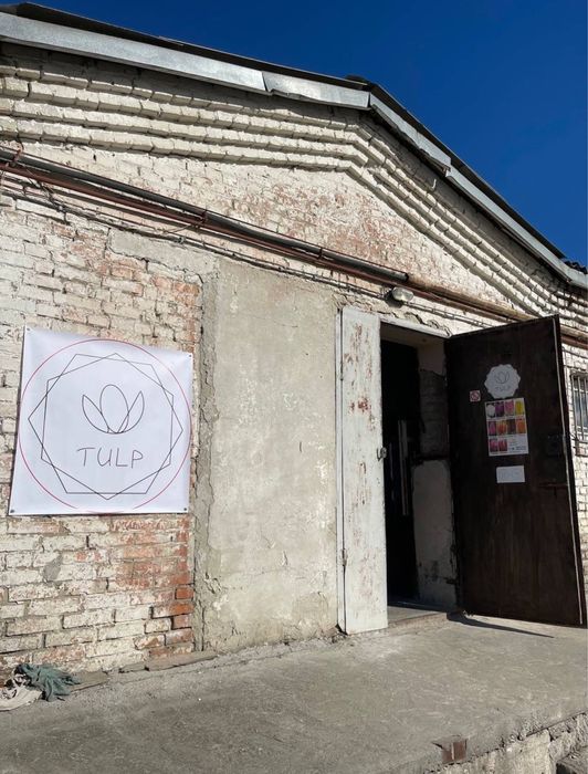 Тюльпан Оптом Голландія/Склад/Самовивіз