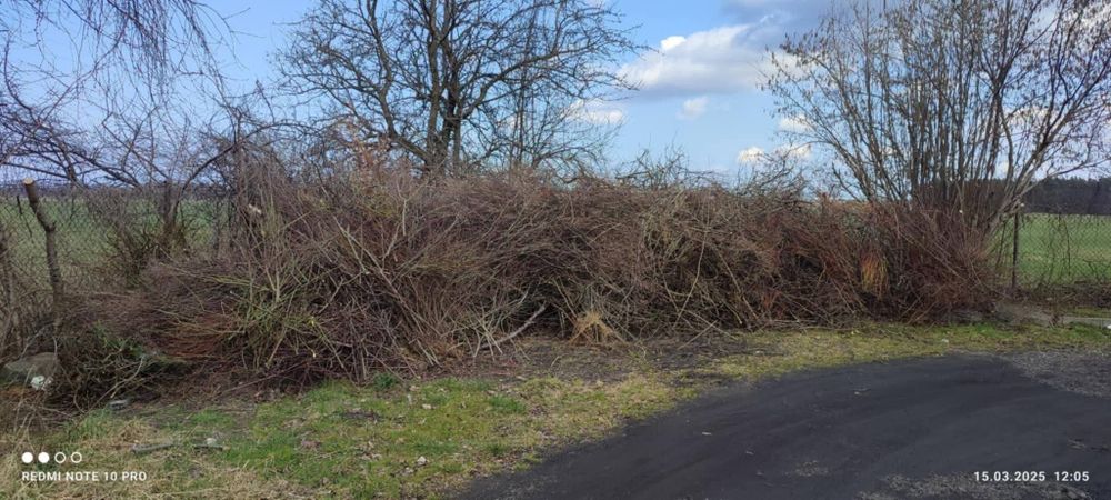 Mielenie gałęzi rębakiem spalinowym