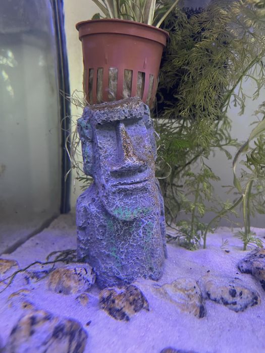 Decoracoes apenas [aquario e outros ja vendido]