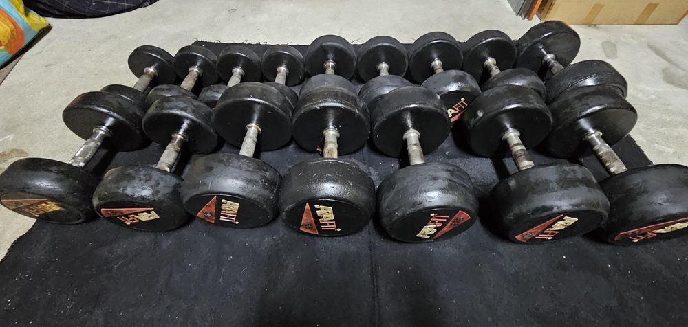 Halteres Profissionais AZAFIT  usados  (295kg)