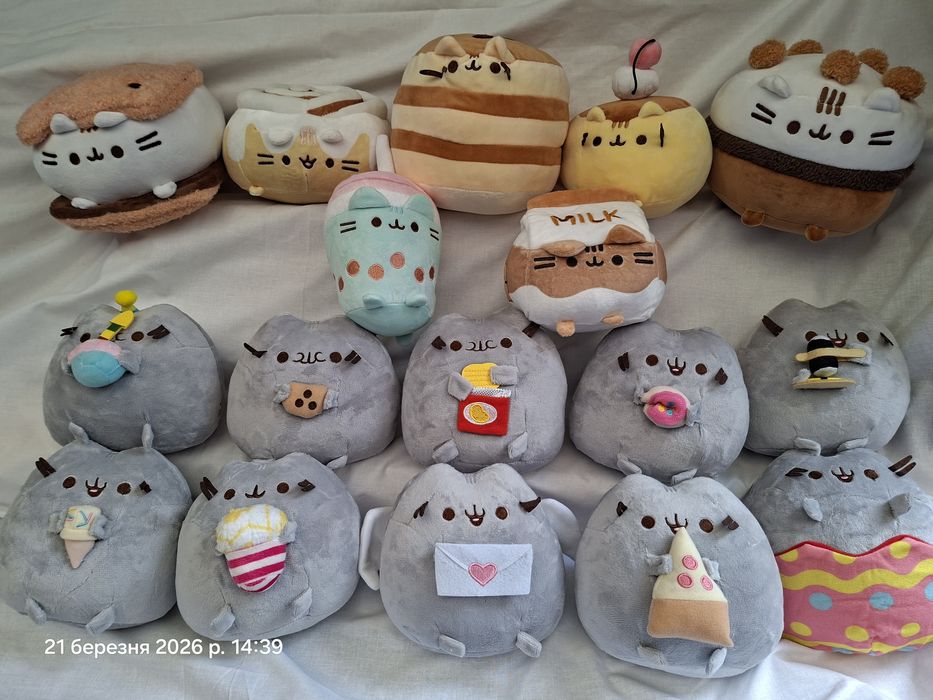 Пушин кет pusheen пушин кет кіт котик с пиццой суши пончиком панкейк