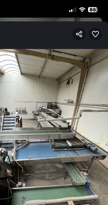 Linia do sortowania warzyw