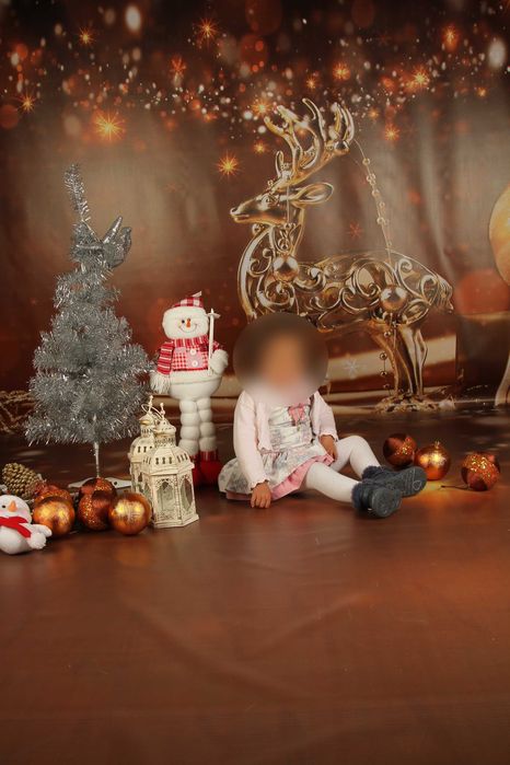 Fundo de Natal 2.75m x 5m - Fundo Estúdio