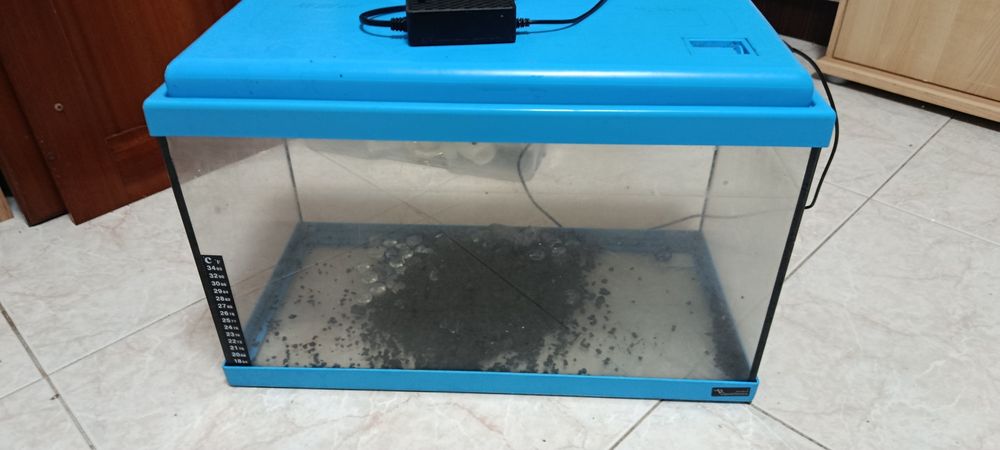 Vendo 2 aquários