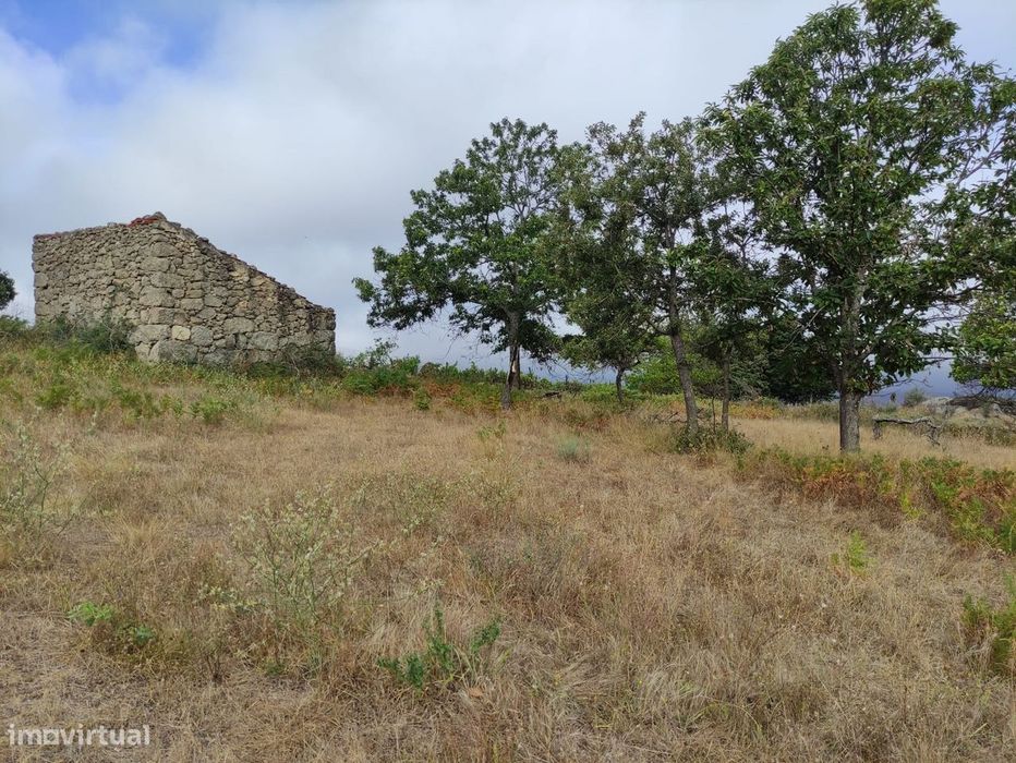 Quintinha  Venda em Figueiró da Serra e Freixo da Serra,Gouveia