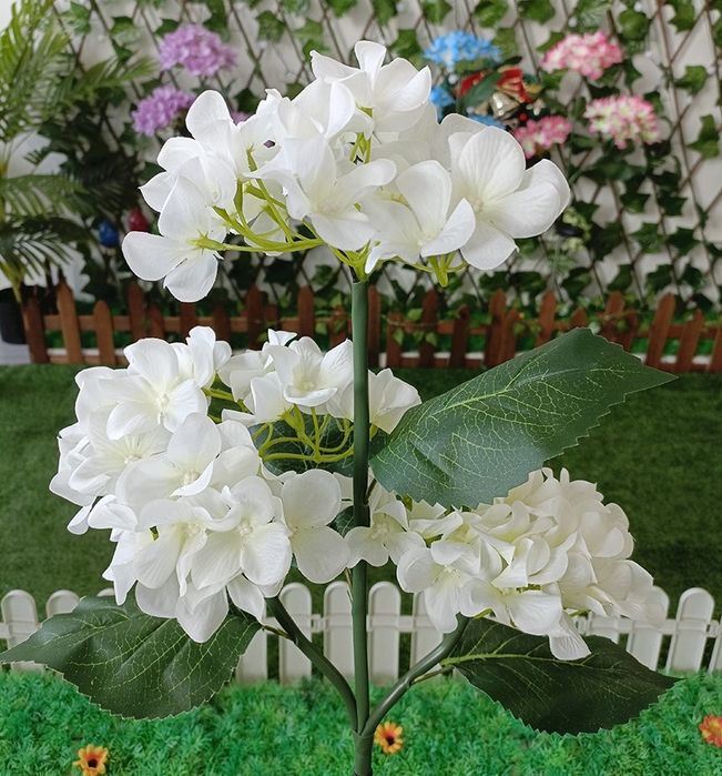 Hortensje – piękna dekoracja do ogrodu z ciepłym światłem