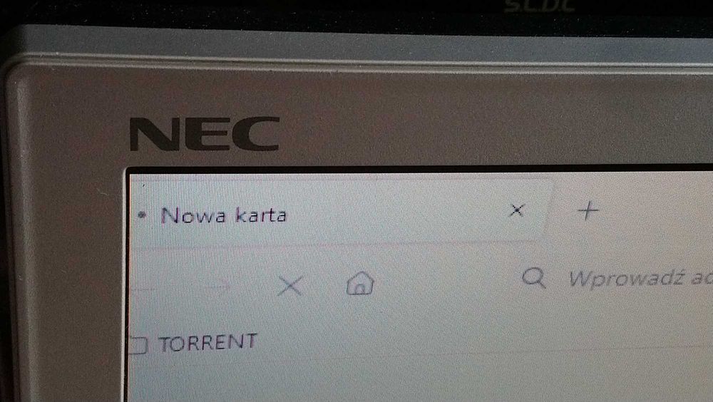 Monitor do komputera ''NEC'' 22 cale