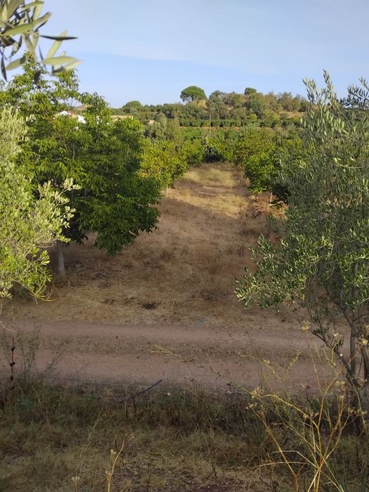 Terreno misto urbano +rustico