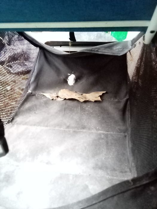 Дитяча коляска літня!