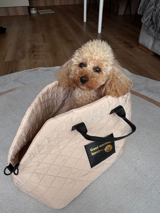 Torba transportowa dla psa 42*27*33, transporter dla psa