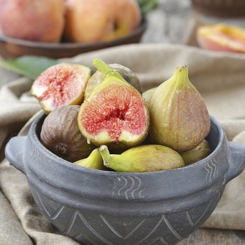 Инжир саженцы с плодами Сорт Далматський