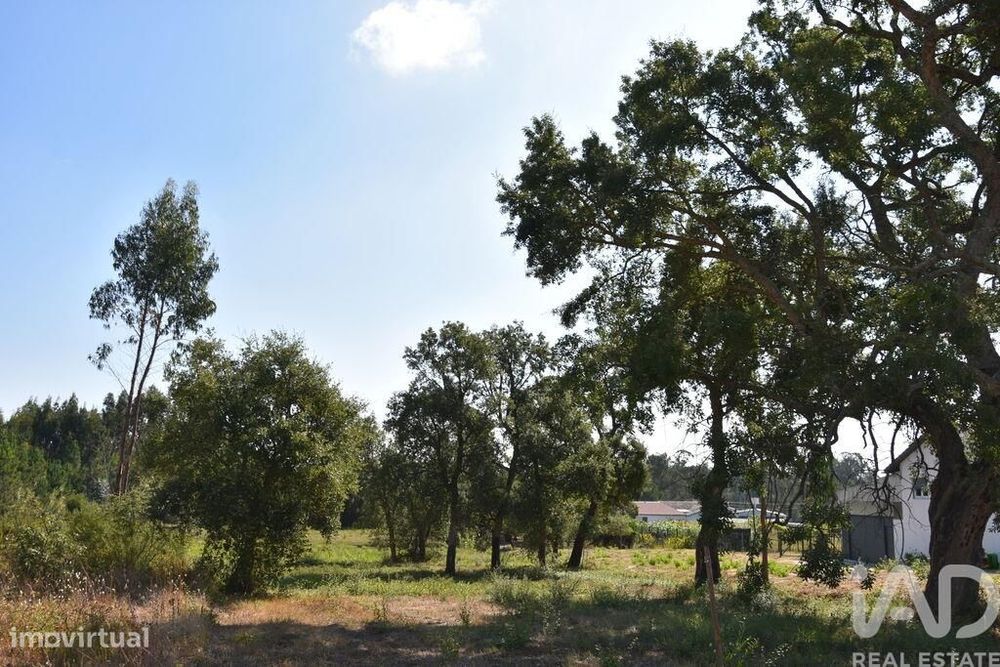 Terreno para construção em Amor de 2619,00 m2
