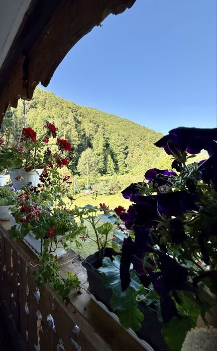 Будинок для Відпочинку Закарпаття, м. Свалява.