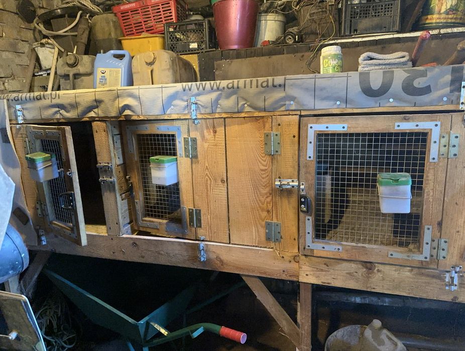 Klatki dla krolikow