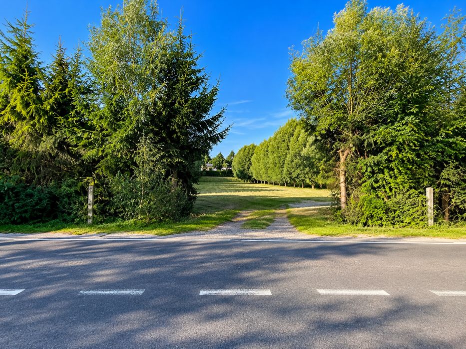 Czubrowice – działka 25 arów przy drodze asfaltowej, zabudowania, wynajem - Widok 2