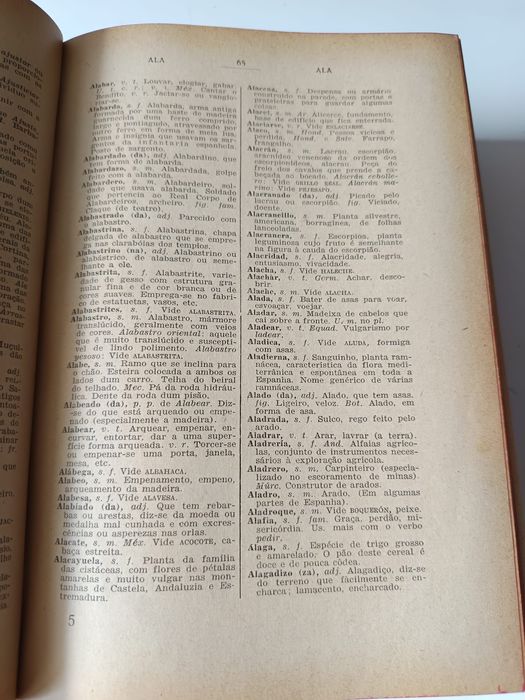 Dicionários Português/Espanhol