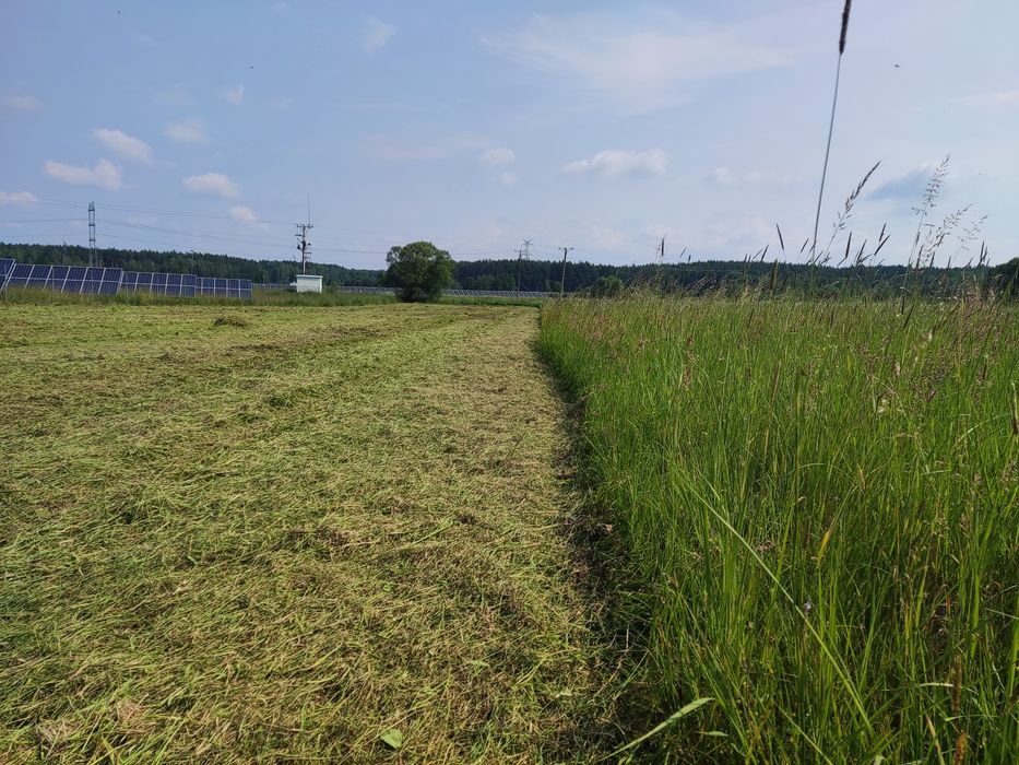 Koszenie działek, łąk. nieużytków Kielce, Piekoszów, Małogoszcz ,Chęci