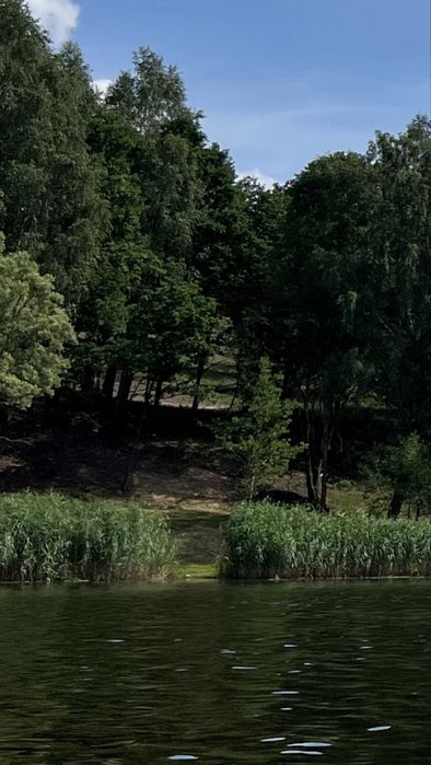 Działka w cercu natury