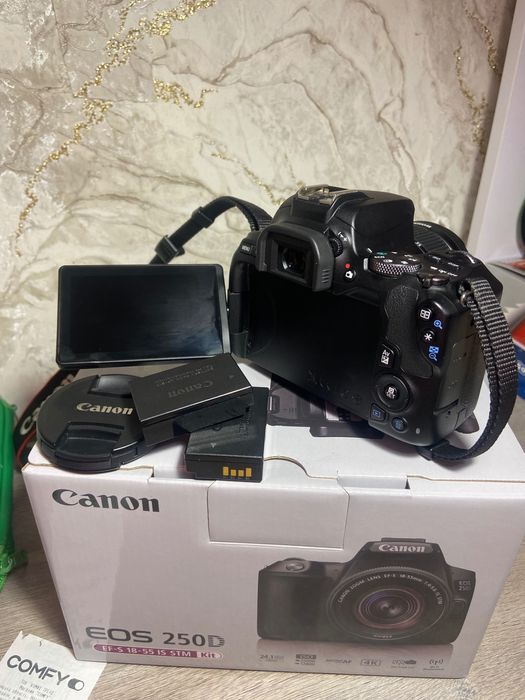 Фотоапарат Canon 250D EF-S 18-55 IS STM Kit