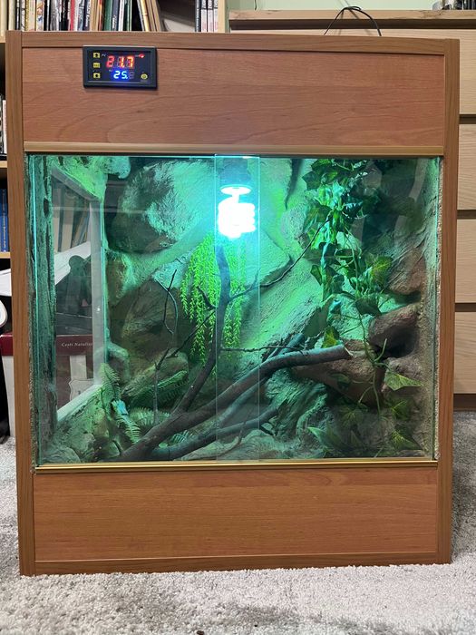 Terrarium dla jaszczurki, gekona 49,5x60x40cm