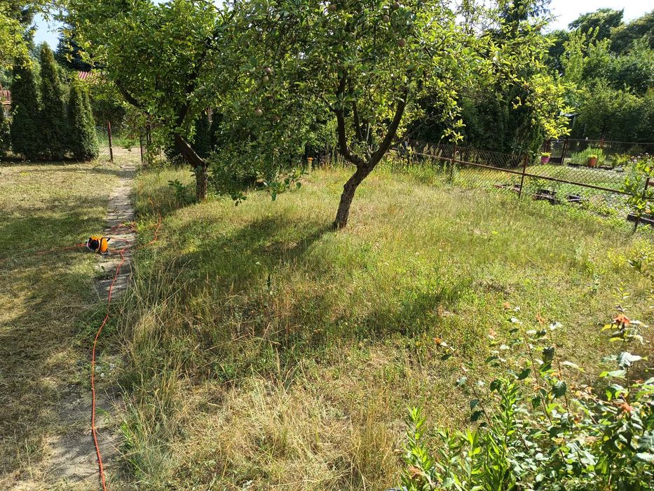 Koszenie GRABIENIE Prace ogrodowe, ROD i inne - 7 DNI W TYGODNIU