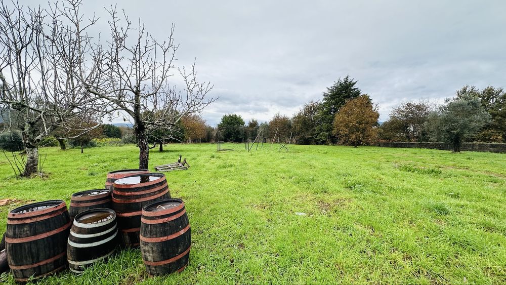 Arrenda-se T3 Totalmente Renovado em Lanheses