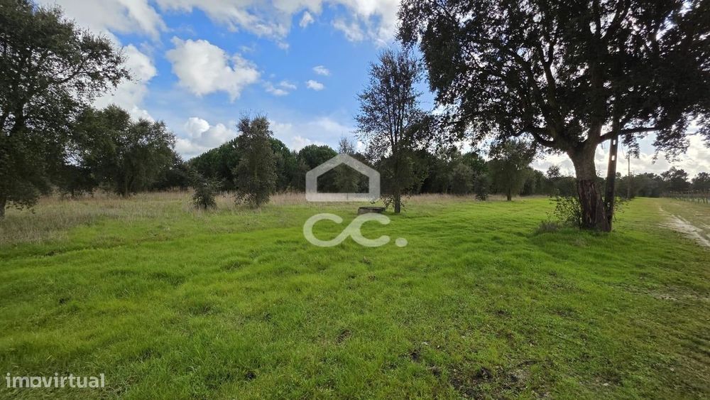 Terreno com 4,35 ha em Pegões Velhos: Potencial Agrícola e Viabilidade